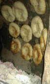 Узбекские лепёшки на заказ в Афинах