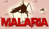 25 Απριλίου - Παγκόσμια Ημέρα κατά της Ελονοσίας