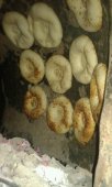 Ουζμπεκιστανική πίτα κατά παραγγελία στην Αθήνα