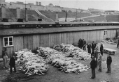 Груды трупов, вскоре после освобождения концлагеря Маутхаузен. Австрия, после 5 мая 1945 г.