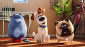 "Park your Cinema Kids" στο Κέντρου Πολιτισμού Σταύρος Νιάρχος στην Αθήνα: Μπάτε σκύλοι αλέστε (2016)